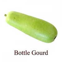 Fresh Bottle Gourd