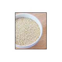 white quinoa seeds