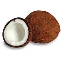 fresh matured coconuts
