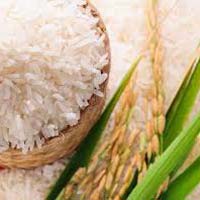 Non Basmati sella Rice broken under 5%