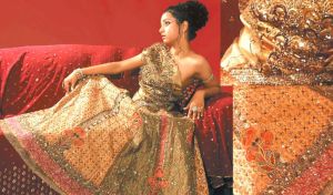 Panelled Lehenga Choli