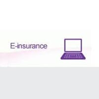 E Insurance Services