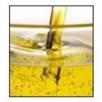 Edible Oils