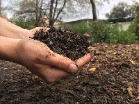 Organic Manure