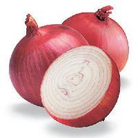 Red Onion