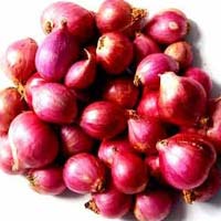 Fresh Small Onion