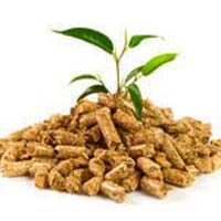 Biomass Wood Pellets