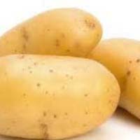 Fresh Potato