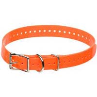 Dog Collar Belt