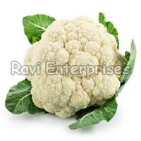 Fresh Cauliflower