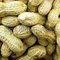 Groundnuts