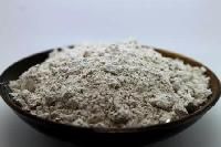 Diatomaceous Earth