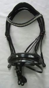 Horse Bridle