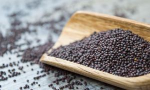 Black Mustard Seeds