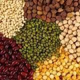 Indian Pulses