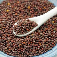 Mustard Seeds