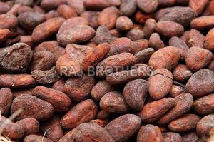 Cocoa Beans