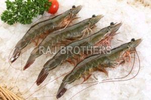 Frozen Vannamei Shrimp