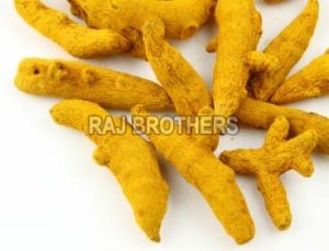 Turmeric Finger