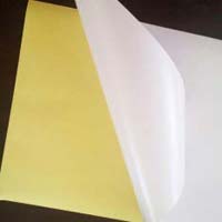 Self Adhesive Paper