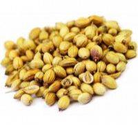 Coriander Seeds