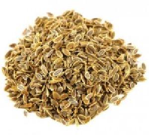 Dill Seeds