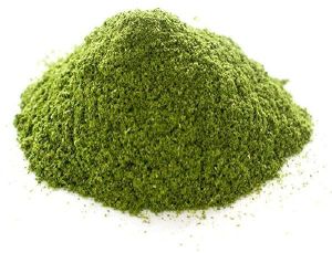 dried mint powder