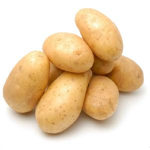 Fresh Potato