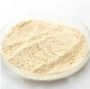 Papaya Powder