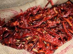 Kashmiri Chilli