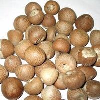 Roasted Betel Nuts