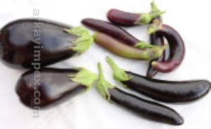 Fresh Brinjal