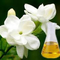 Jasmine Oil