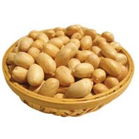 Roasted Salted Peanuts