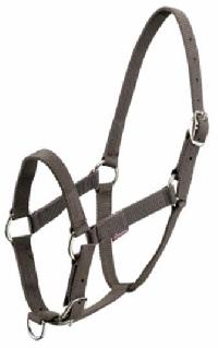 Pp Horse Halter