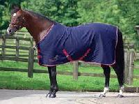 Summer horse rugs