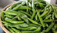 Fresh Green Chilli