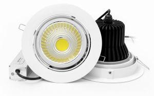 LED COB Lights