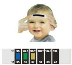 Forehead Thermometer