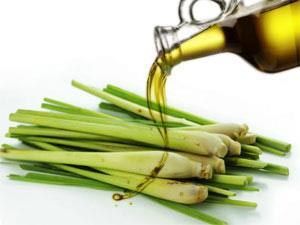 lemonGrass crudeOil