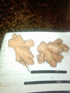 Raw Ginger