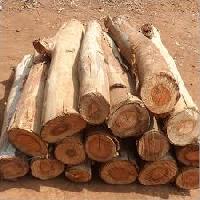Indian Timber