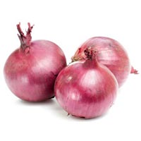 Fresh Onion