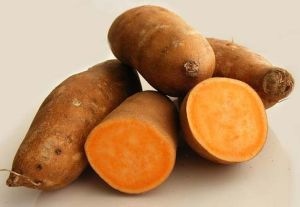 Fresh Sweet Potato