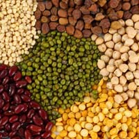 Indian Pulses