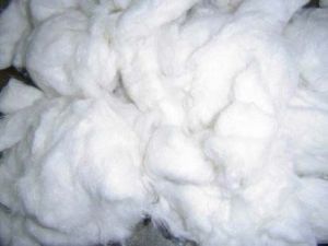 Raw Cotton