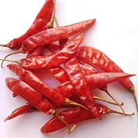 Dried Byadgi Red Chilli
