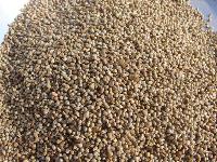 Millet Seeds