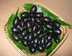 Fresh Black Plum