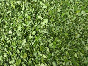 Natural Moringa Leaves